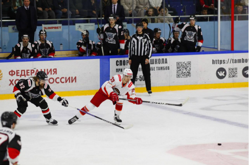 ПОРАЖЕНИЕ В ЗАВЕРШАЮЩЕЙ ВСТРЕЧЕ ДОМАШНЕЙ СЕРИИ