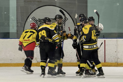 ЧЕМПИОНАТ ОБЛАСТИ ПО ХОККЕЮ: ОЧЕРЕДНЫЕ МАТЧИ 